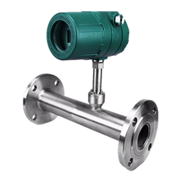 Thermal mass flow meter, inline and insertion gas mass flow meters with display heads