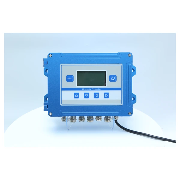 Multi-channel ultrasonic flow meter, wall-mounted convertor with multiple transducer-pair ports