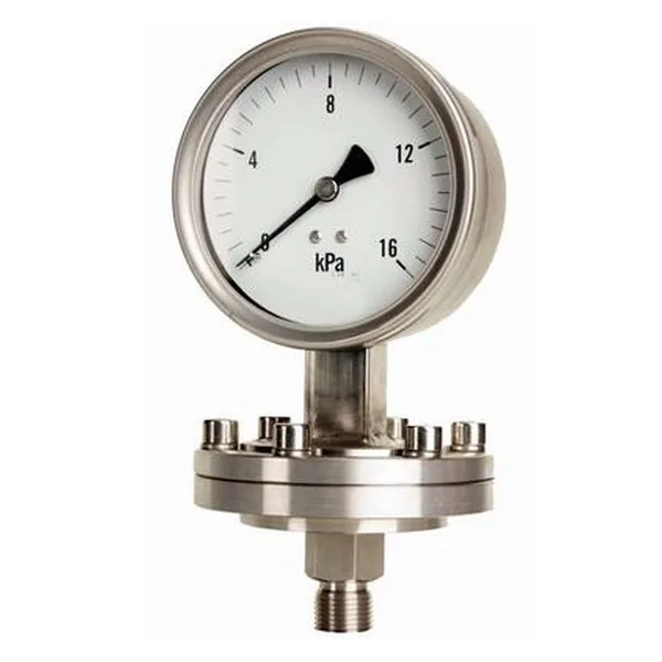 SI-D100 diaphragm pressure gauge