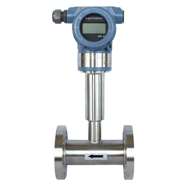 Target flow meter, a drag-force flow meter with a flanged body and a force sensor head