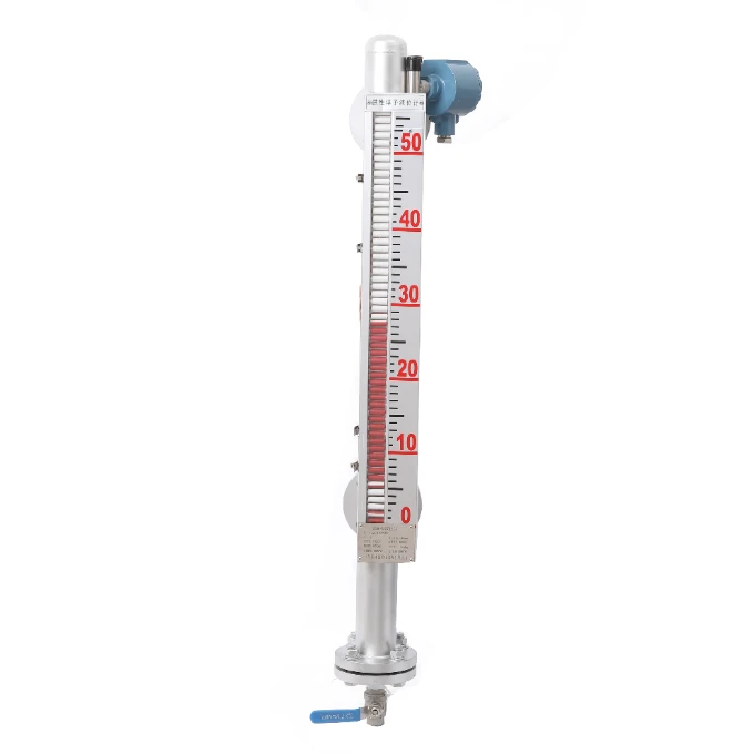 Magnetic level gauge