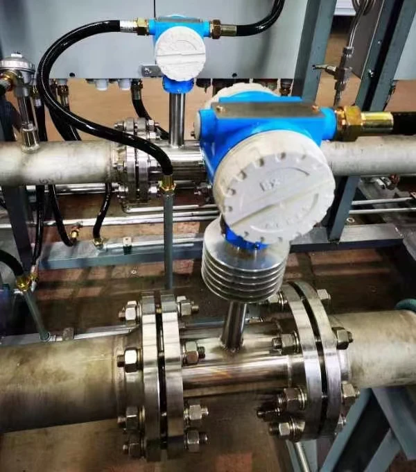 Wafer target flow meter with transmitter head and pressure transmitter on a factory test skid