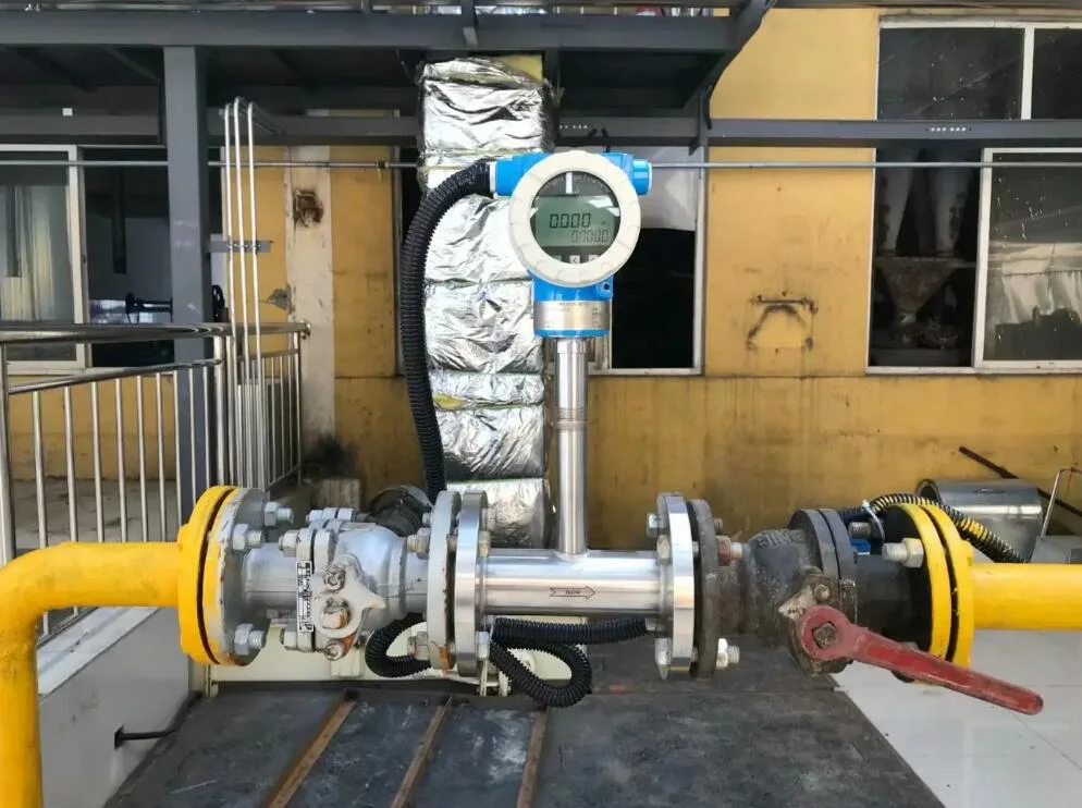 Flanged inline flow meter with integral digital display installed on a plant gas line