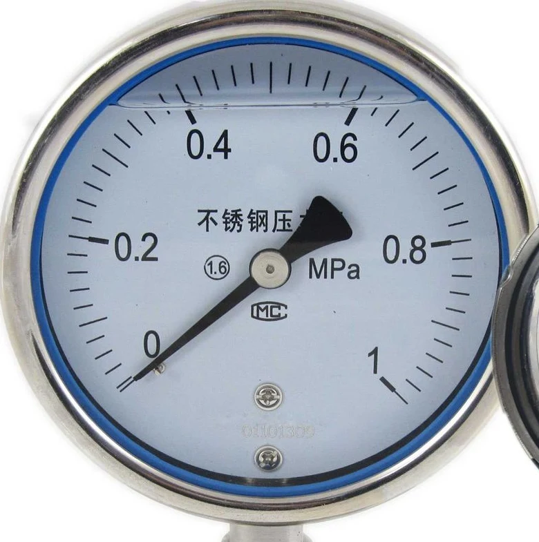 Stainless steel diaphragm seal pressure gauge with a 0 to 1 MPa dial numbered every 0.2 MPa